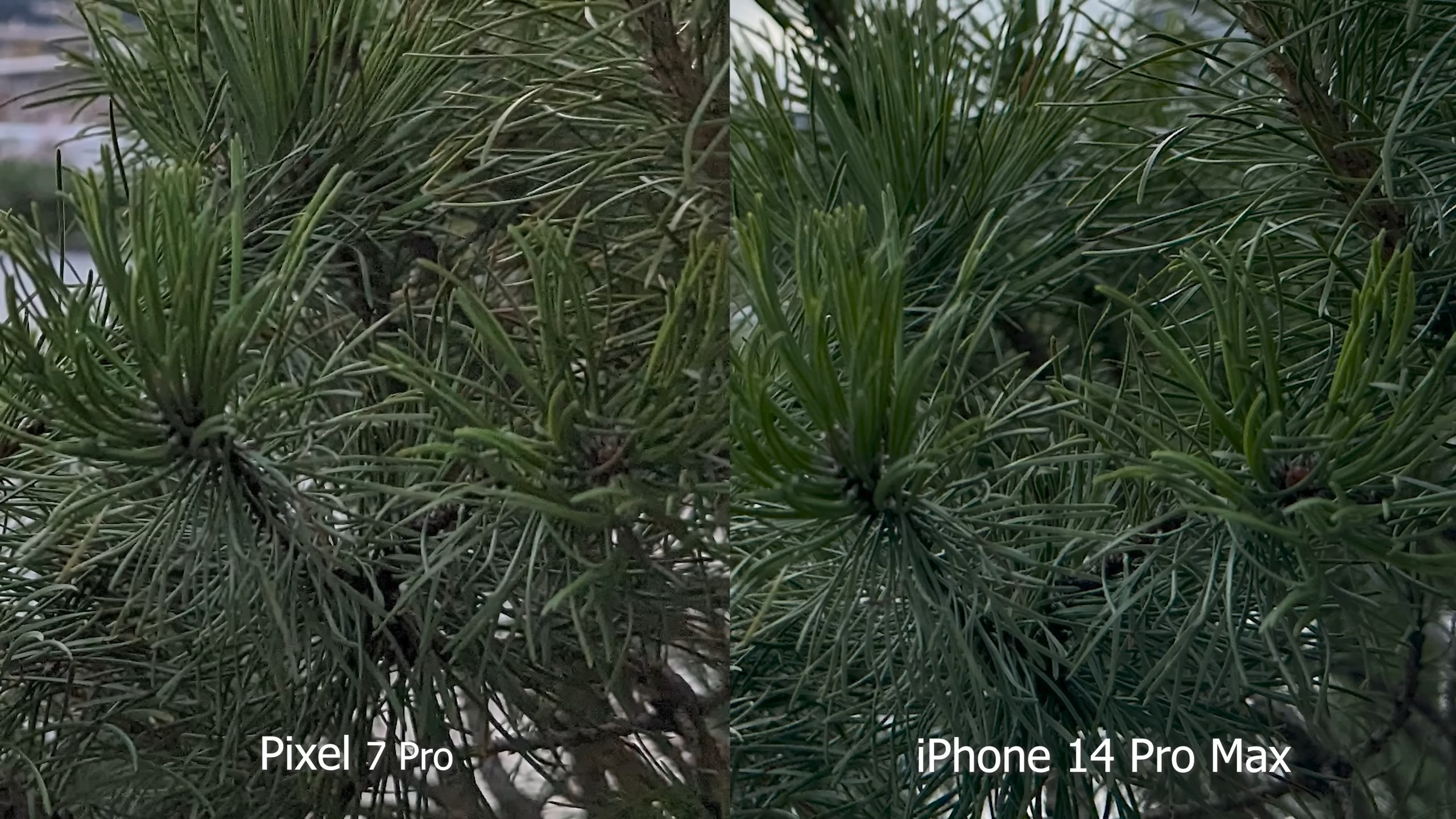 google pixel 7 pro vs iphone 14 pro max camera