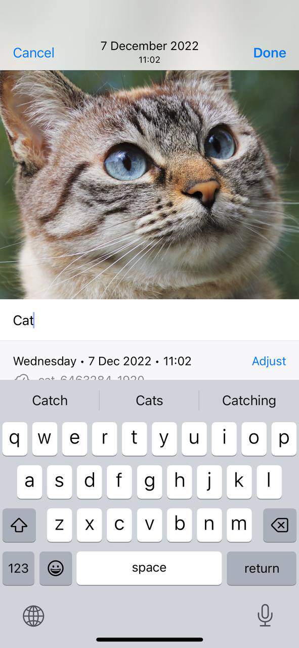 add tags to organize pictures on iPhone
