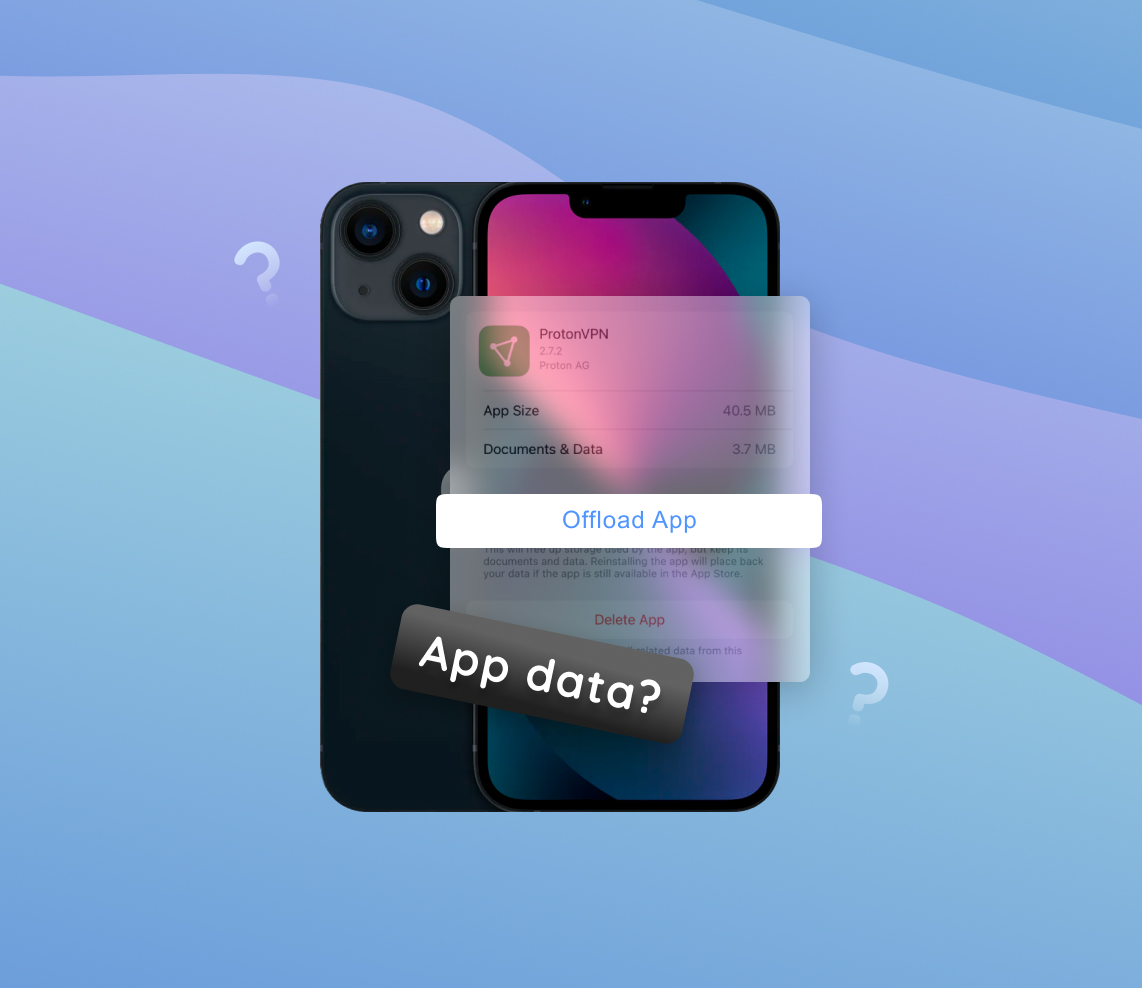 clear app data iphone