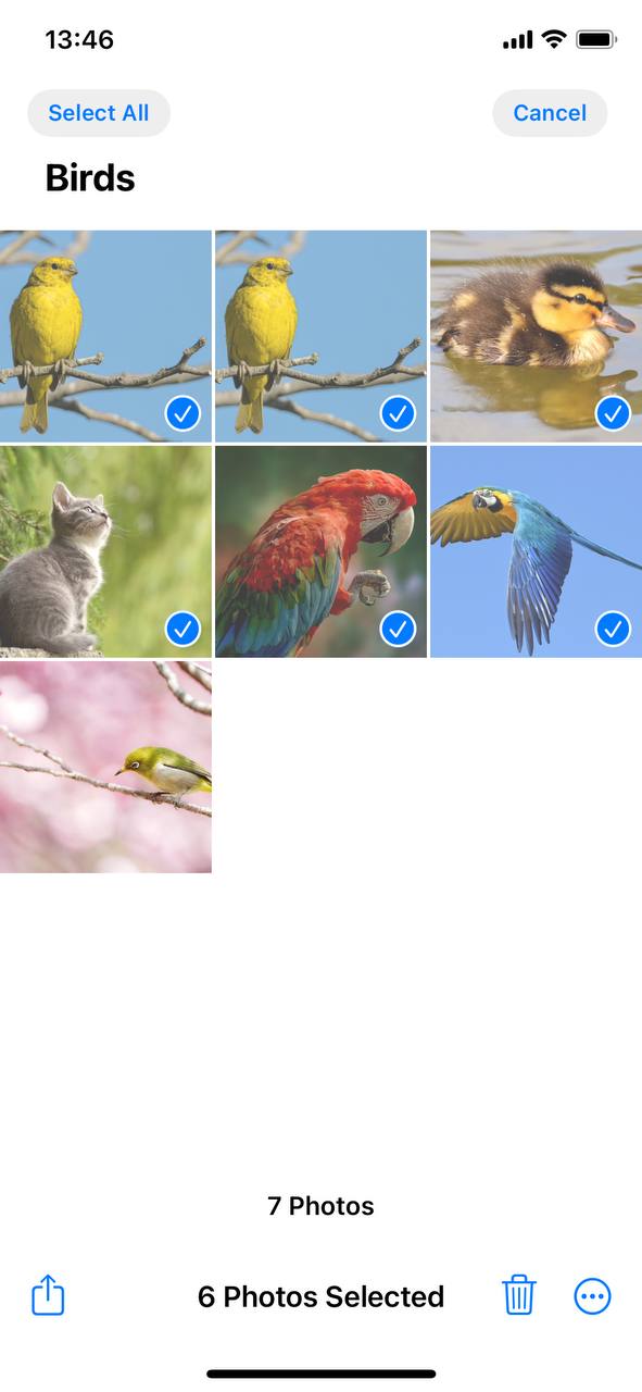 choose the photos you want to remove
