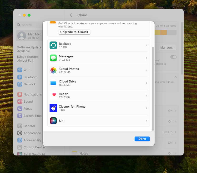 review what uses icloud storage
