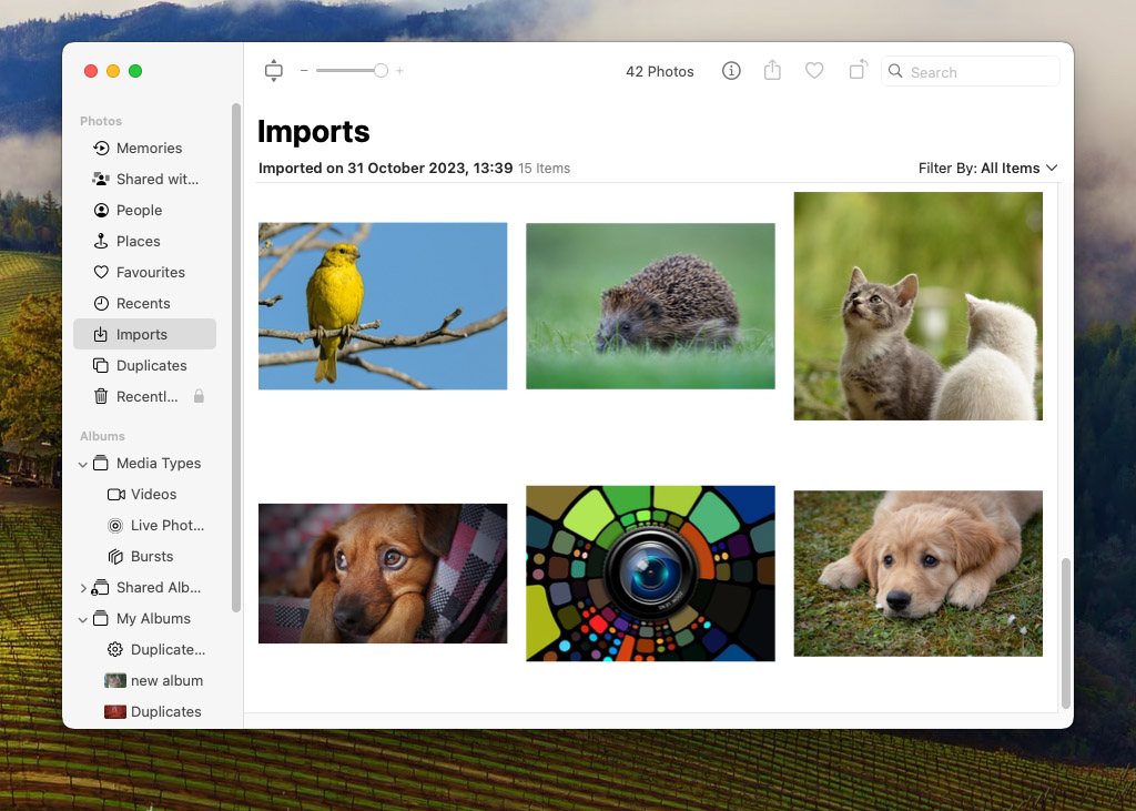 'Imports' tab in photos app